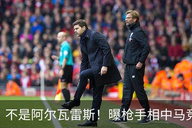 不是阿尔瓦雷斯！曝枪手相中马竞神锋 本赛季12场独造8球